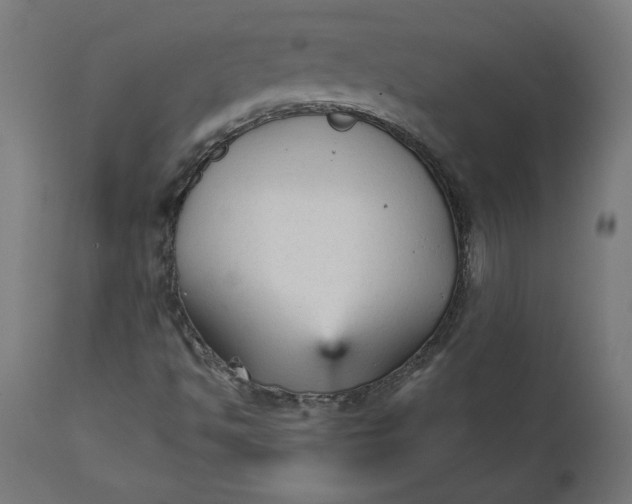X0000111481494200907281150