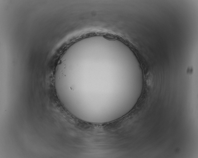 X0000111481495200907281150
