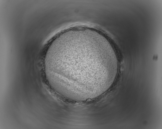 X0000111481496200907281150