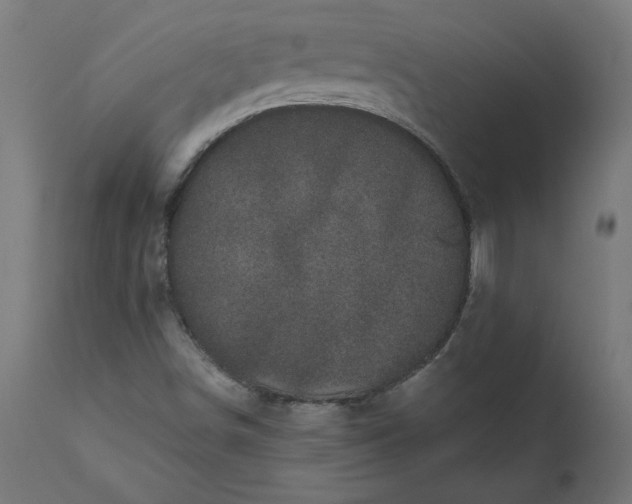 X0000111481498200907281150