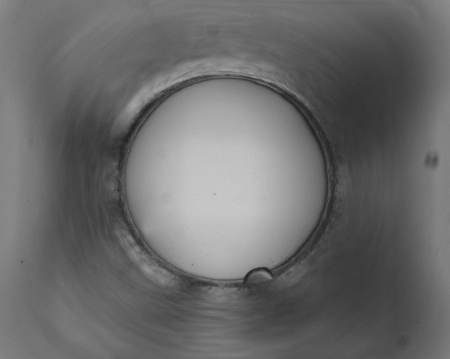 X0000111481499200907281150