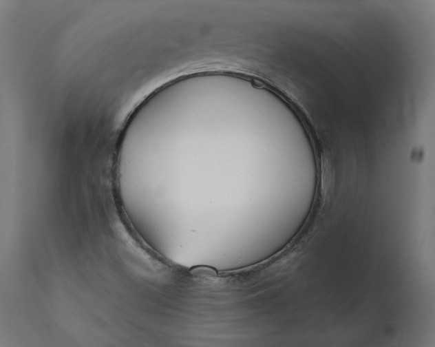 X0000111481500200907281150