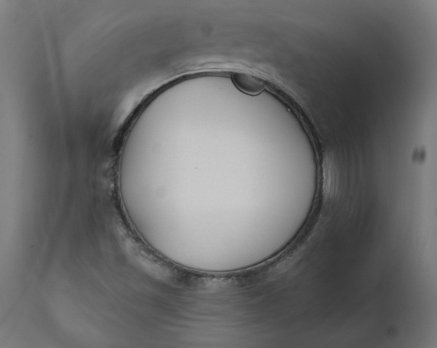 X0000111481501200907281150