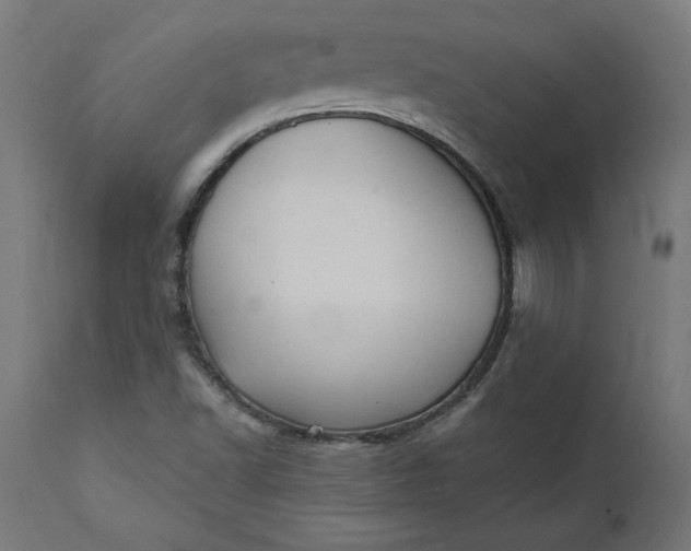 X0000111481502200907281150
