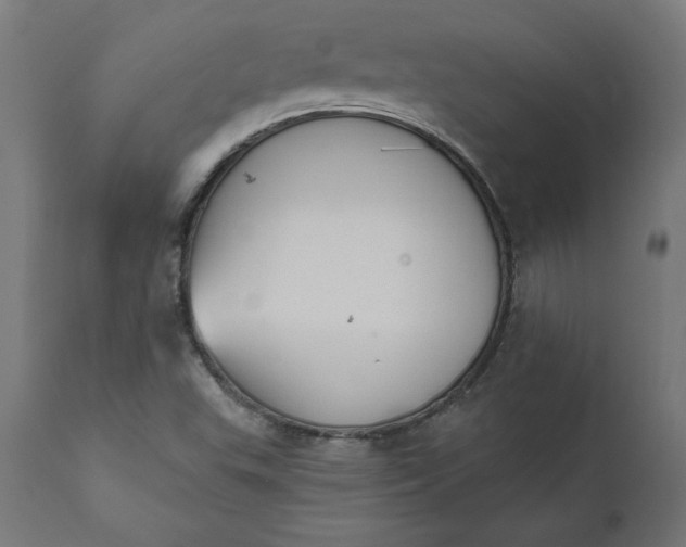 X0000111481503200907281150