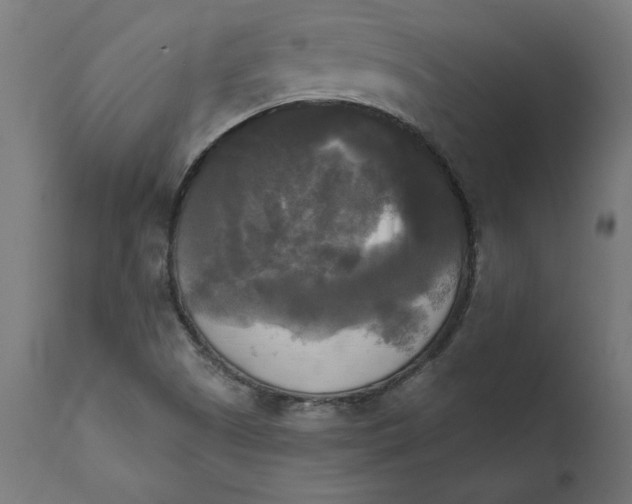 X0000111481505200907281150
