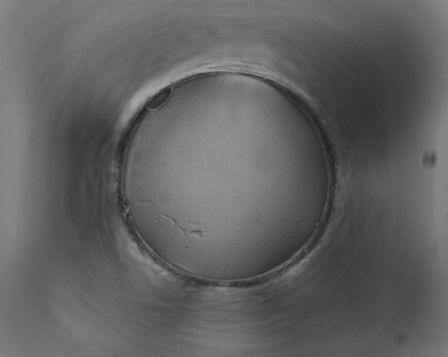 X0000111481506200907281150