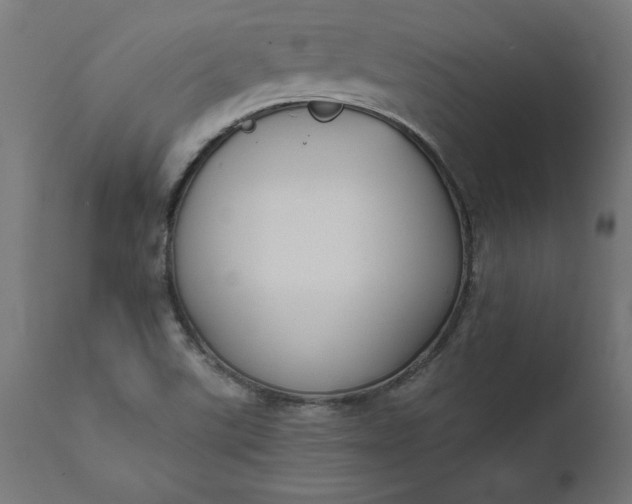 X0000111481507200907281150