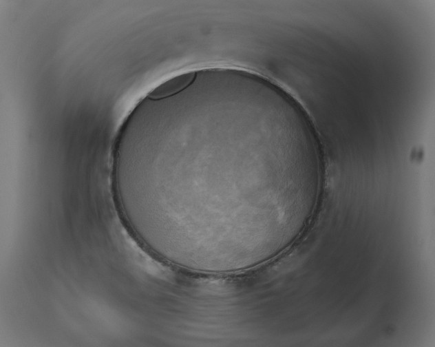 X0000111481508200907281150