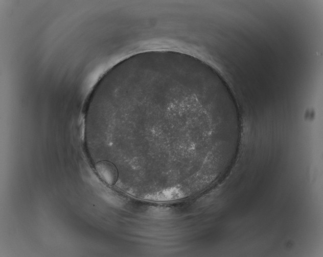 X0000111481509200907281150
