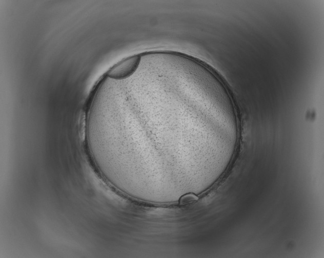 X0000111481510200907281150