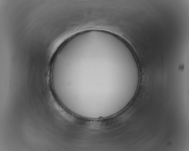 X0000111481511200907281150