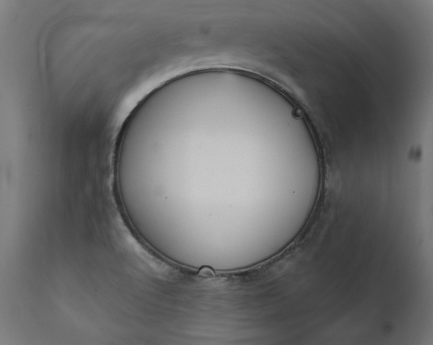 X0000111481512200907281150