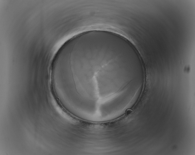 X0000111481515200907281150