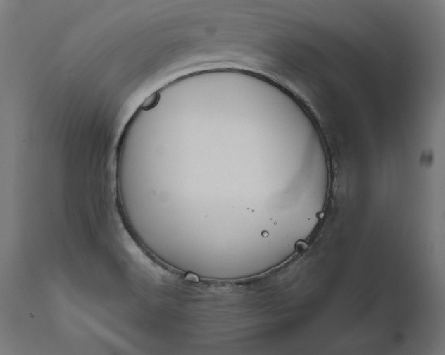 X0000111481516200907281150