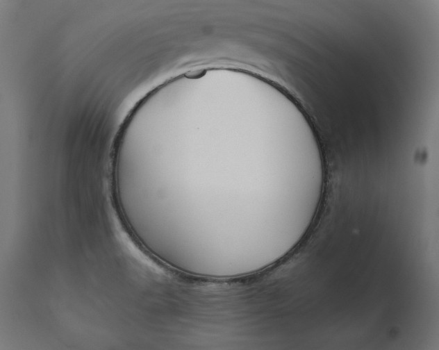 X0000111481518200907281150