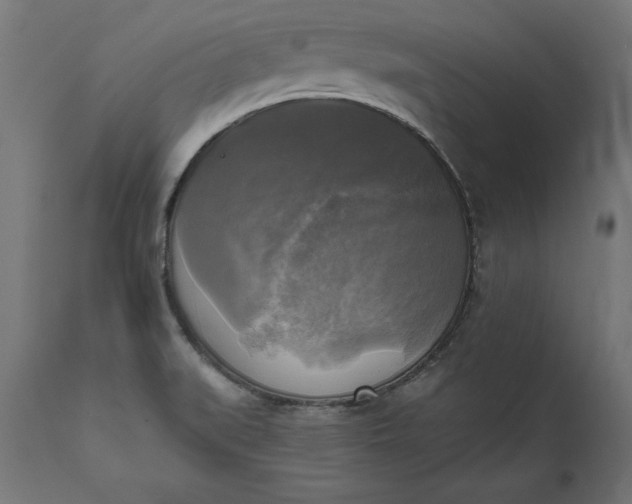 X0000111481519200907281150