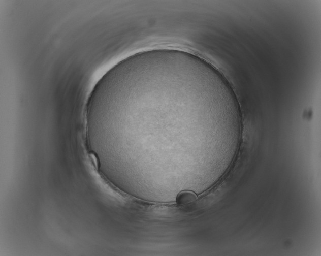 X0000111481520200907281150