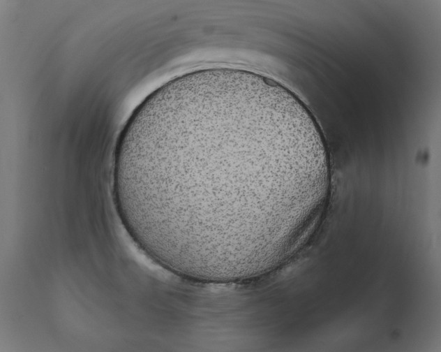 X0000111481523200907281150