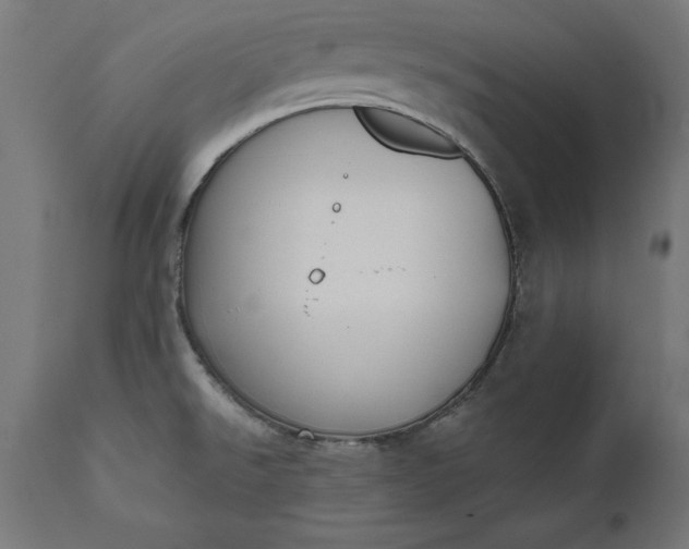X0000111481526200907281151
