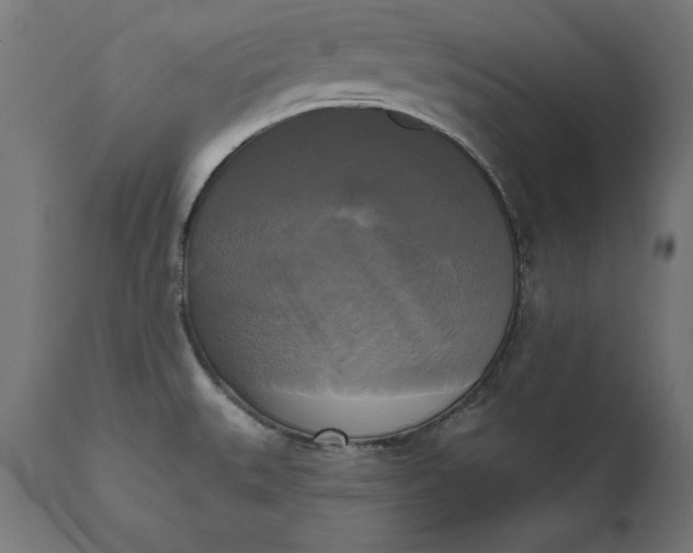 X0000111481527200907281151