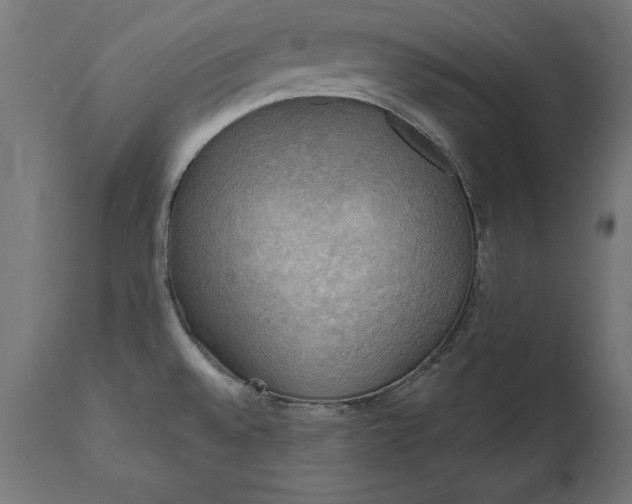 X0000111481528200907281151