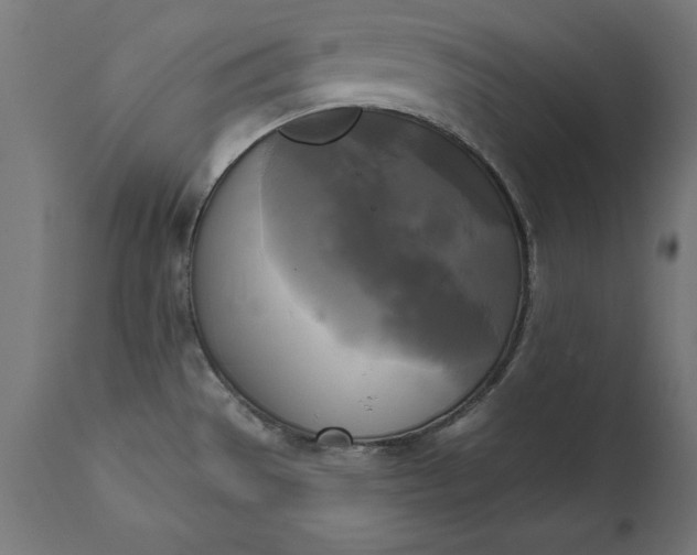 X0000111481529200907281151