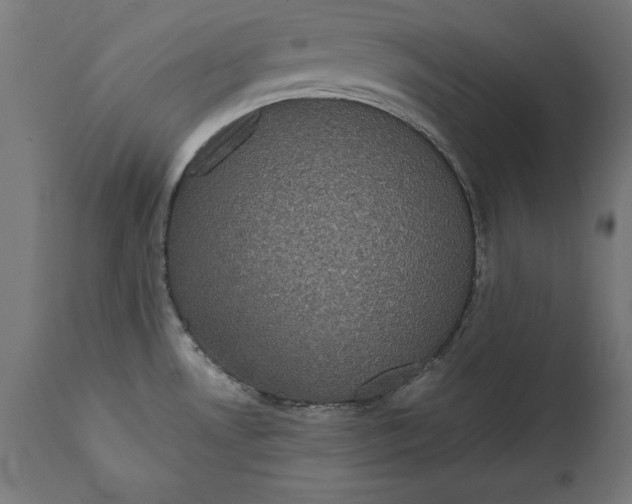 X0000111481530200907281151