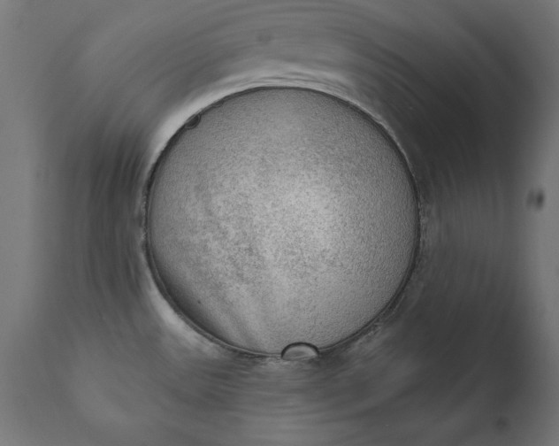 X0000111481531200907281151