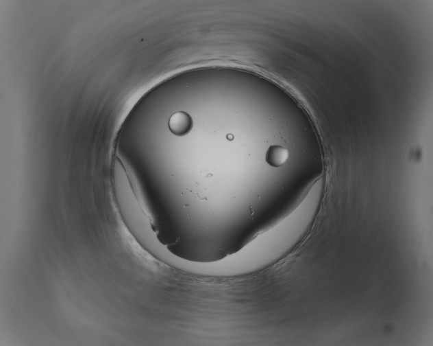X0000111481532200907281151