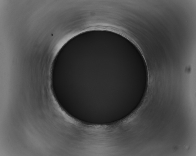X0000111481533200907281151