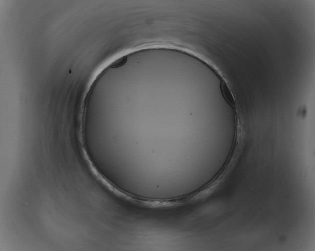 X0000111481534200907281151