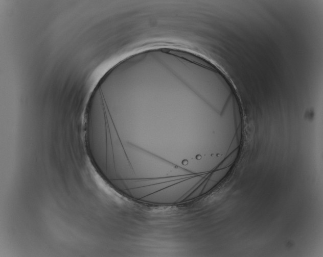 X0000111481535200907281151