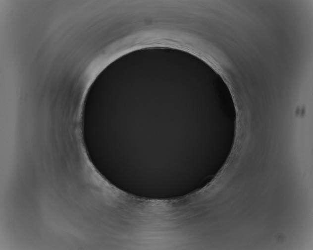 X0000111481536200907281151