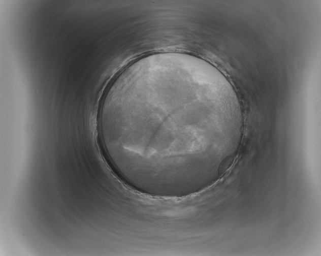 X0000111480002200908041131