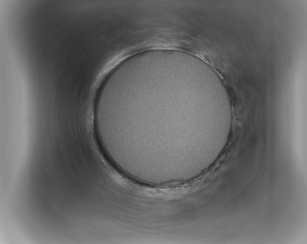 X0000111480005200908041131