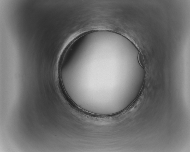 X0000111480008200908041131
