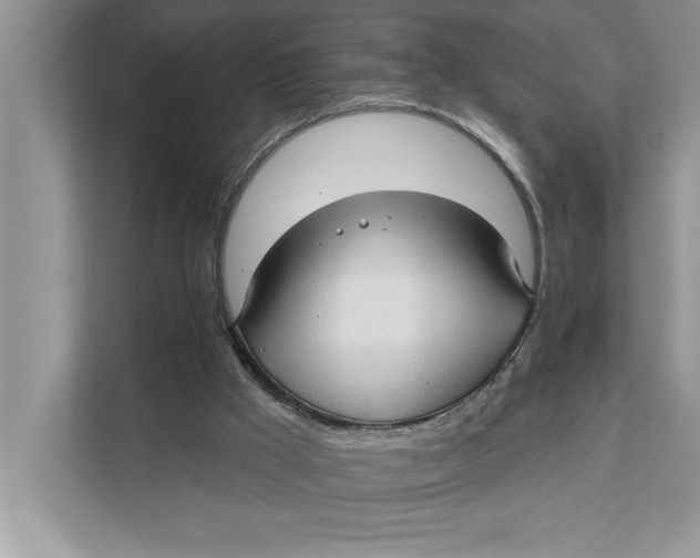 X0000111480009200908041131