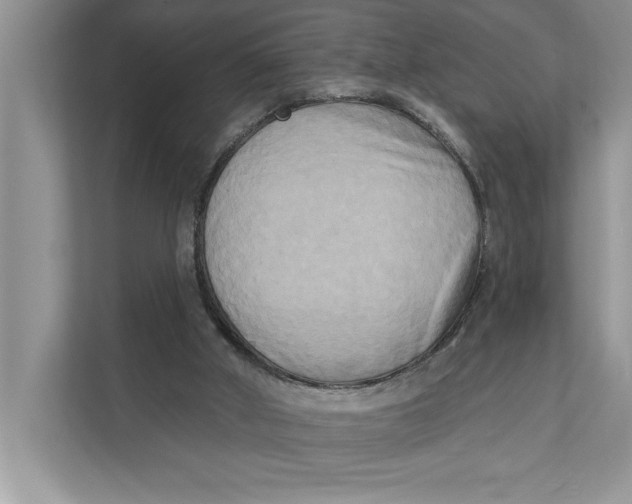 X0000111480010200908041131
