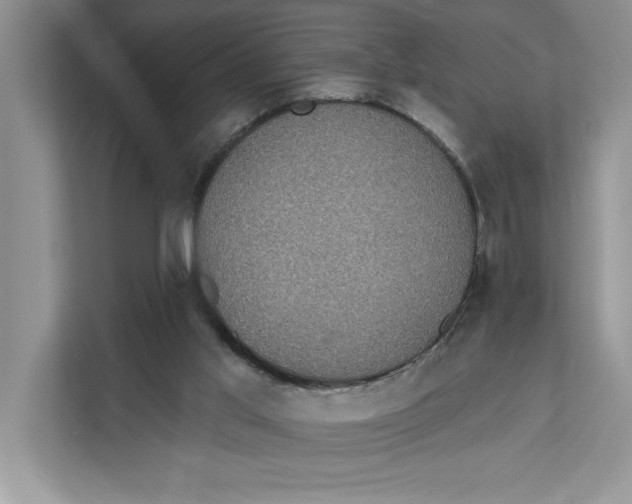 X0000111480013200908041131