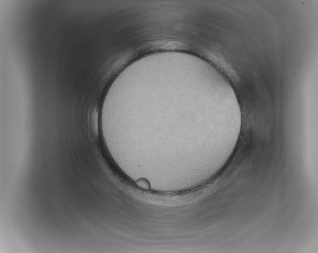 X0000111480014200908041131
