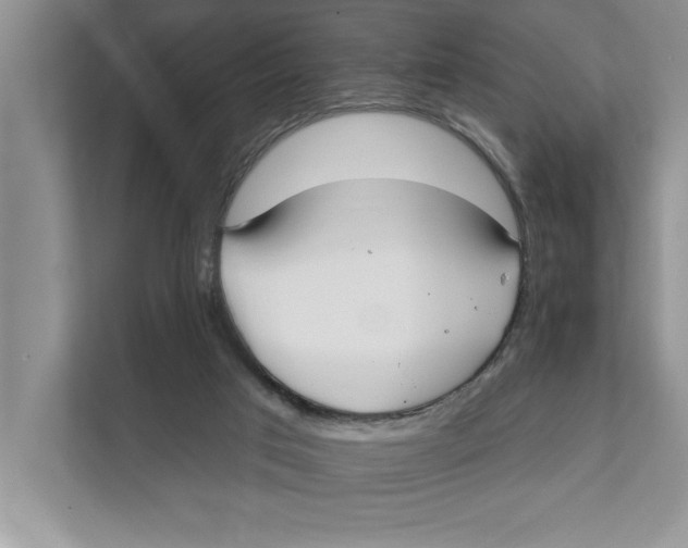 X0000111480017200908041131