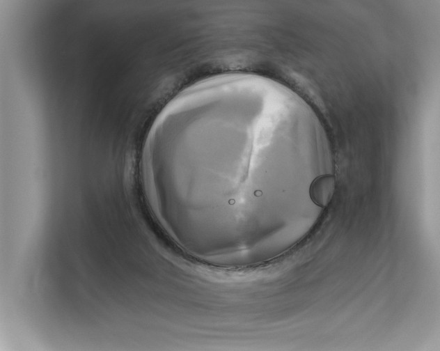 X0000111480018200908041131