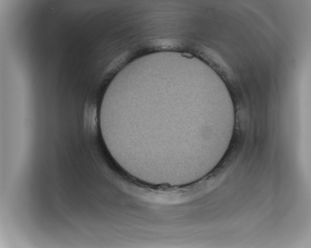 X0000111480024200908041131