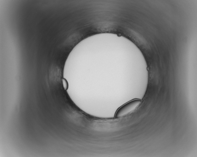X0000111480025200908041131