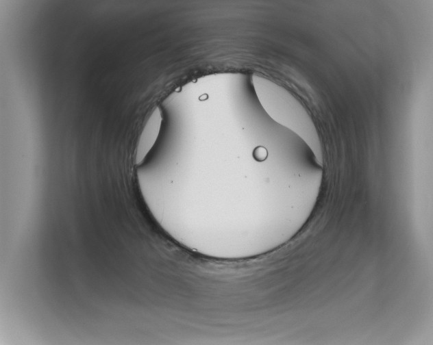 X0000111480029200908041131