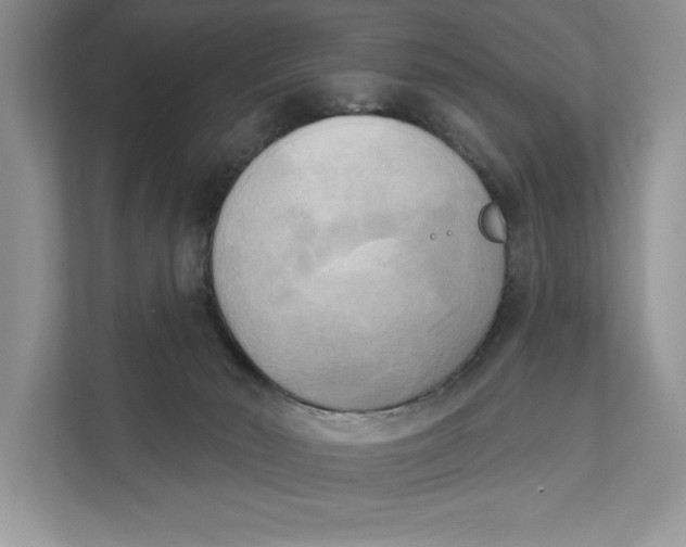 X0000111480030200908041131