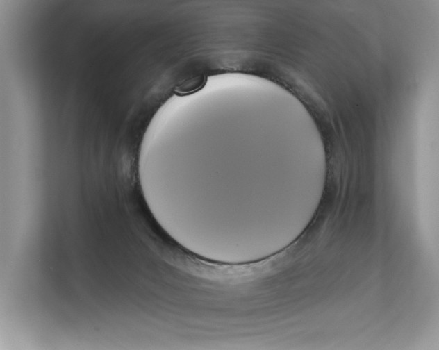 X0000111480031200908041131