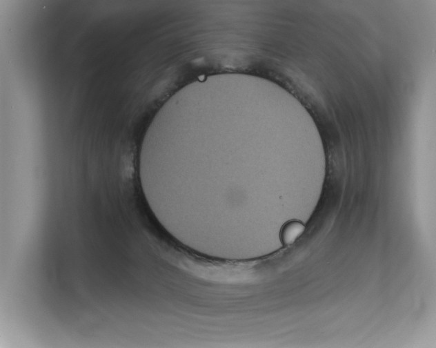 X0000111480032200908041131