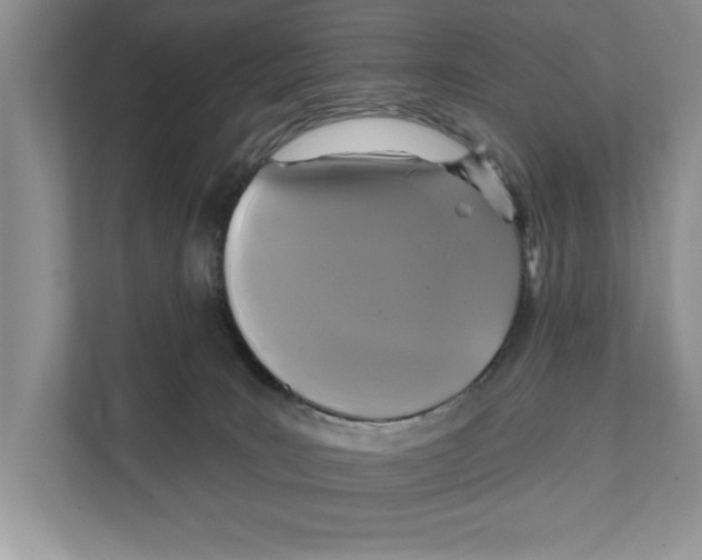 X0000111480035200908041131